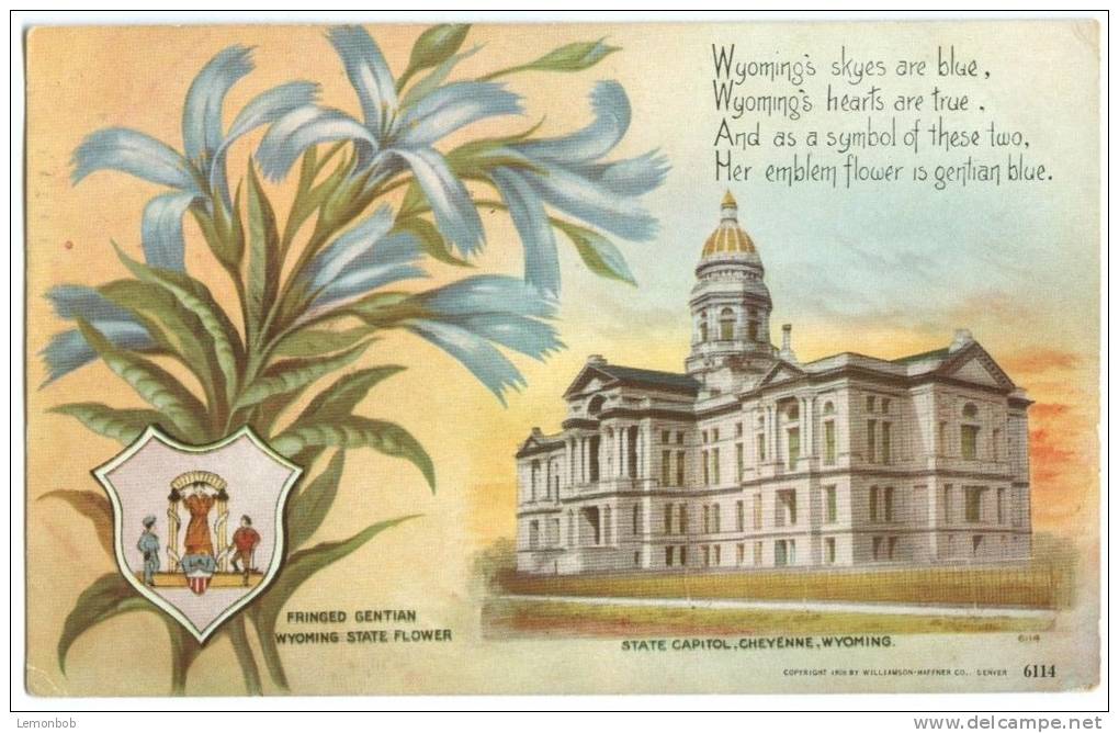 USA, State Capitol, Cheyenne, Wyoming, 1909 Used Postcard [10246] - Cheyenne