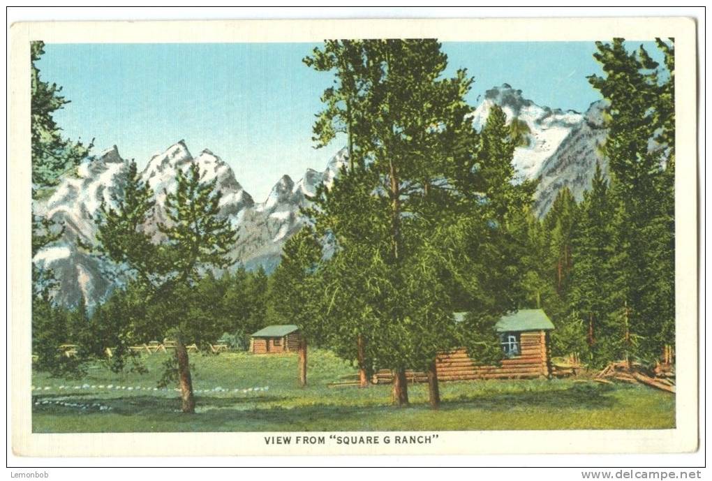 USA, View From "Square G Ranch", Jenny Lake, Wyoming, Unused Postcard [10250] - Otros & Sin Clasificación