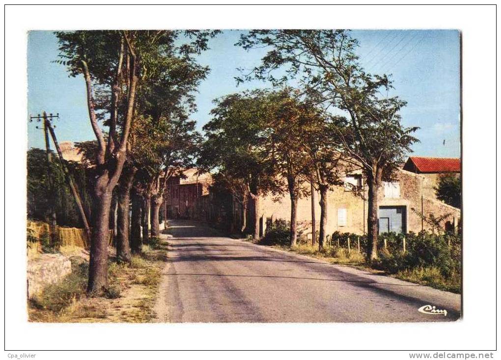 11 THEZAN (envs Durban Corbières) Entrée Du Village, Ed CIM 0003, CPSM 10x15, 197? - Autres & Non Classés