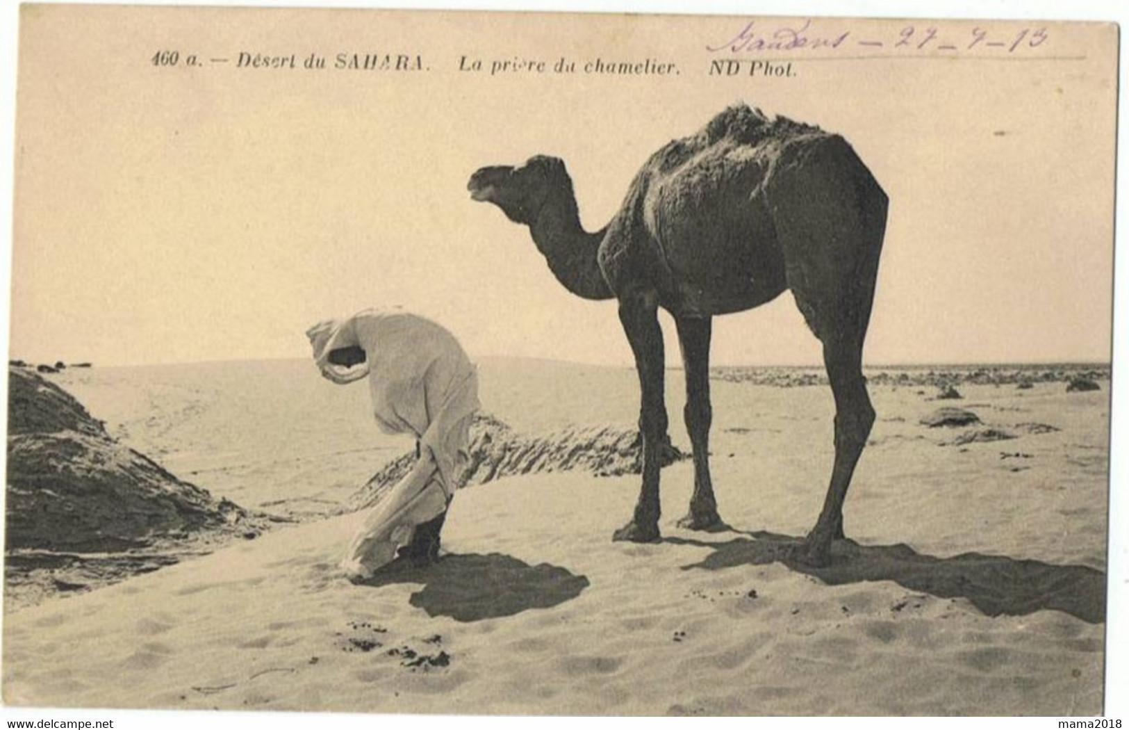 La Prière Du Chamelier     Dans Le SAHARA - Africa