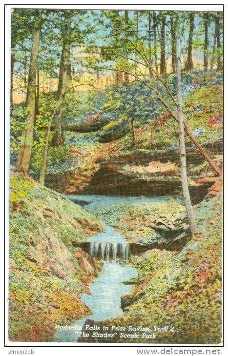 USA, Umbrella Falls In Frisz Ravine, Trail 4 "The Shades" Scenic Park, Unused Postcard [10287] - Autres & Non Classés