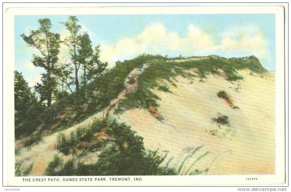 USA, The Crest Path, Dunes State Park, Tremont, Indiana, 1910s-20s Unused Postcard [10291] - Autres & Non Classés