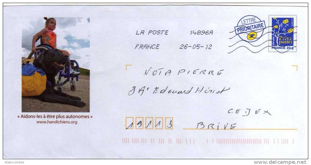 Entier Postal PAP Repiqué Aidons Les à être Plus Autonomes Handichiens Fillette Chien Handicap - Listos A Ser Enviados : Réplicas Privadas