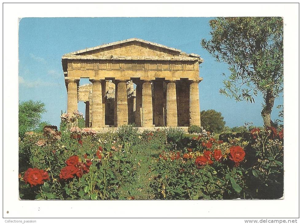 Cp, Italie, Pestum, Temple De Neptune, Voyagée 1989 - Salerno