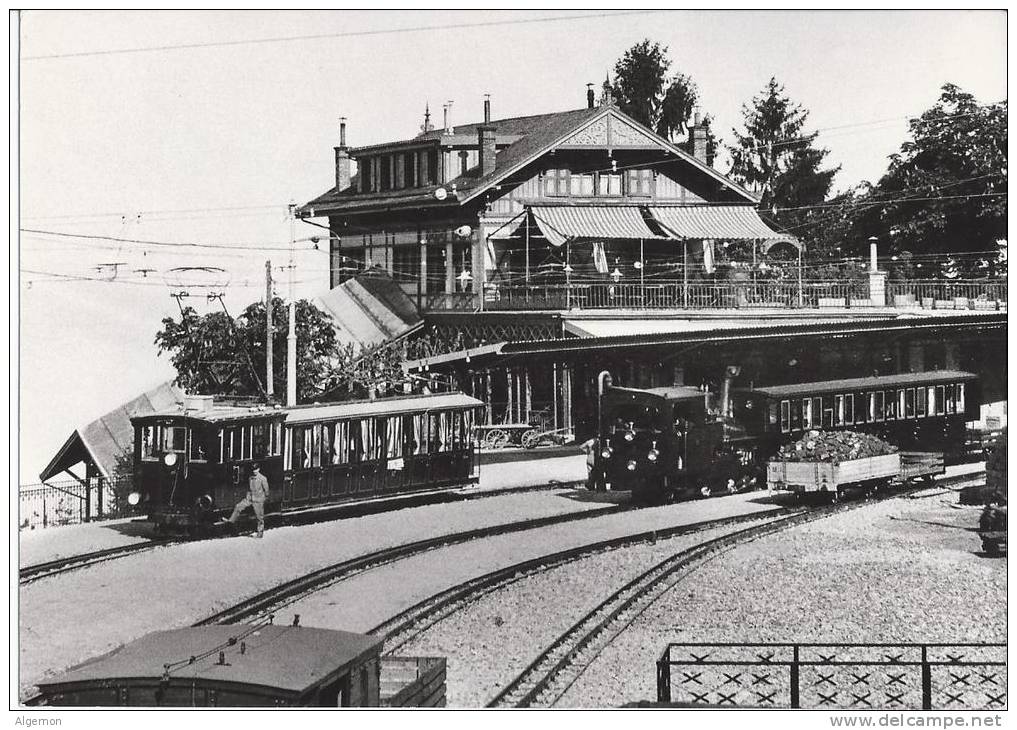 4136 - Train Correspondance à Glion Suisse  (Edition BVA) - Trains