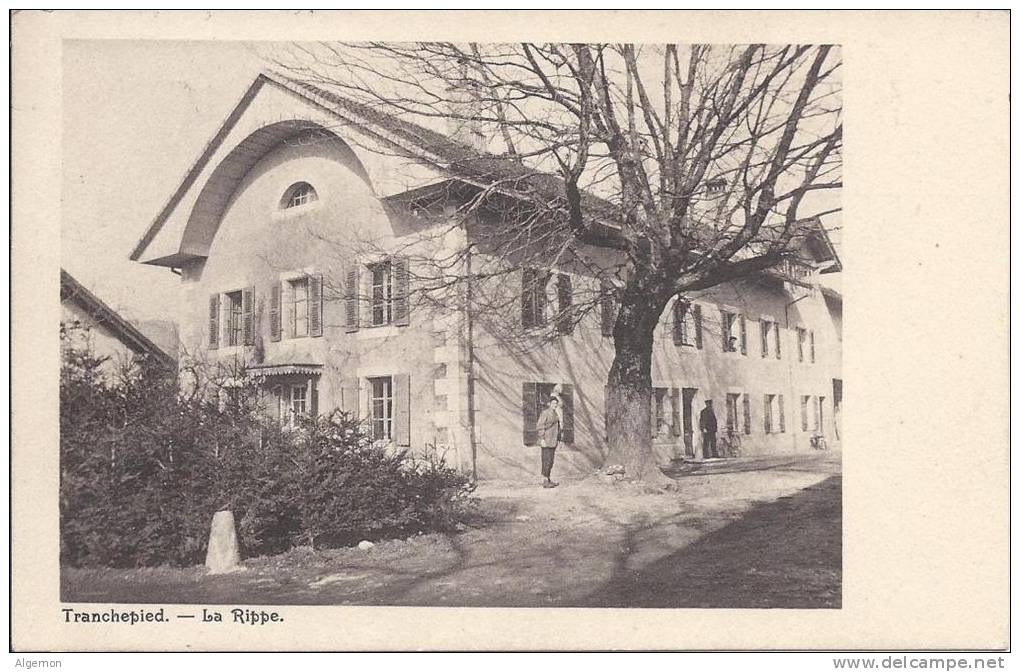 4159 - Tranchepied La Rippe - La Rippe