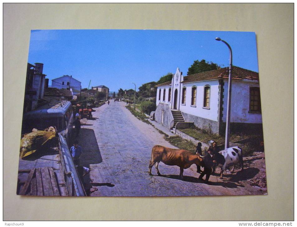 PUEBLA DE SAN JULIAN - (Lugo) - Av.Benigno Quiroga Et Hôtel De Ville - Lugo