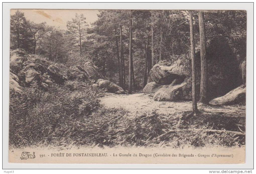 FONTAINEBLEAU - LA FORET - LA GUEULE DU DRAGON - Fontainebleau