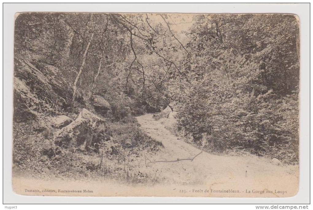 FONTAINEBLEAU - LA FORET - LA GORGE AUX LOUPS - Fontainebleau