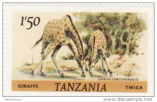 1980 Tanzania - Giraffe - Giraffen