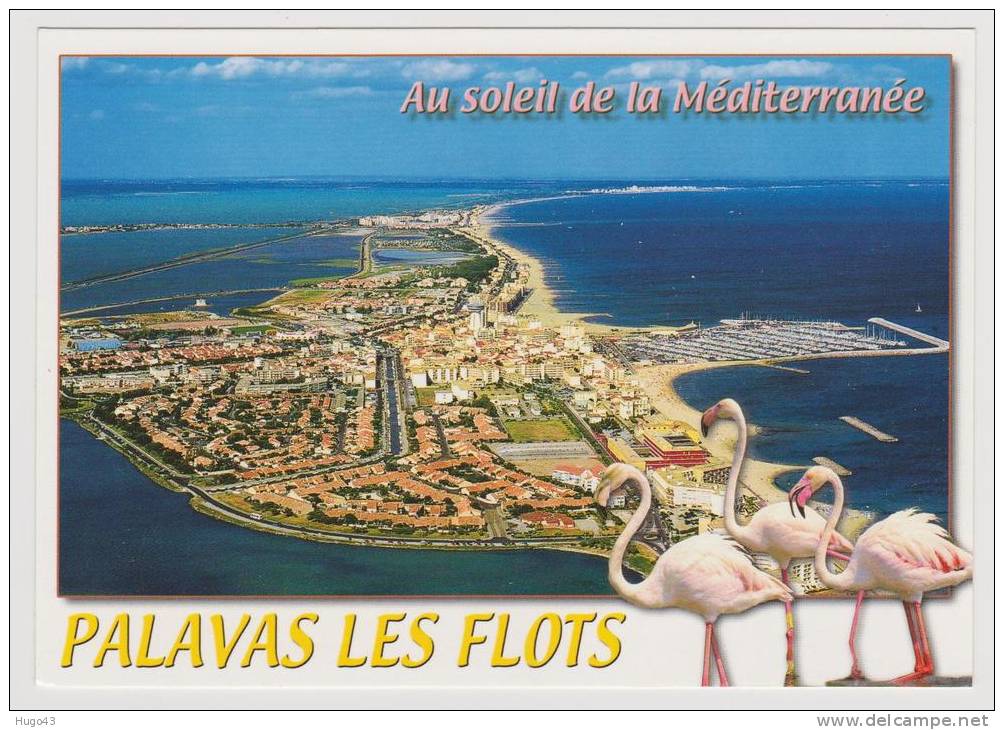 PALAVAS LES FLOTS - VUE D' ENSEMBLE - Palavas Les Flots