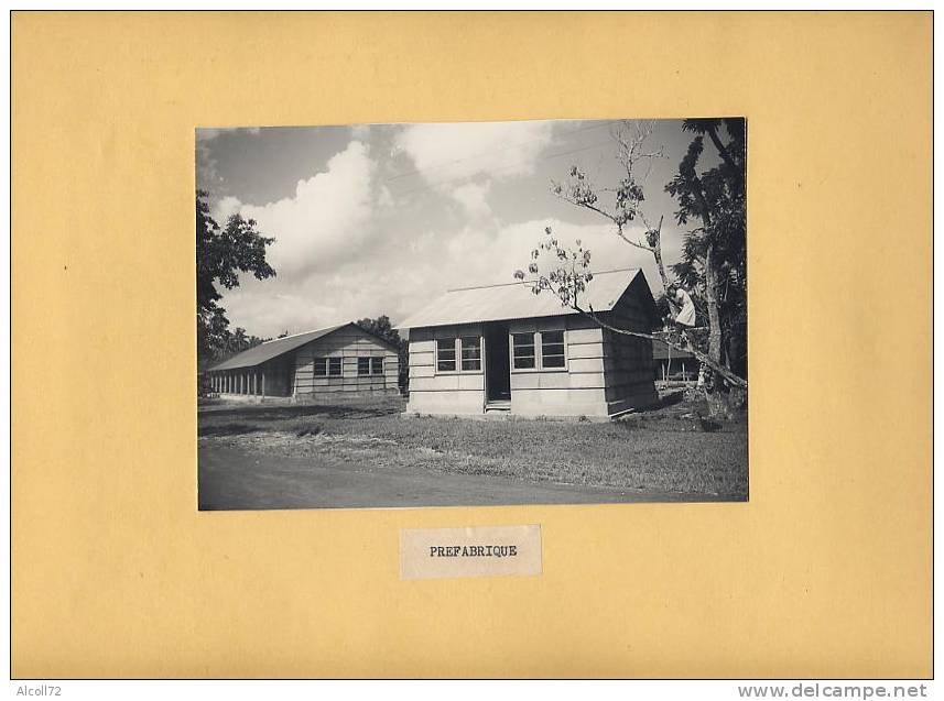 album  60 Photos : TAHITI - travaux des Ponts, Maisons, Collège, institut recherche,routes,bulldozer de 1949 à 1951 , ca