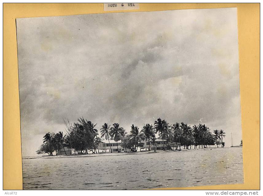 album  60 Photos : TAHITI - travaux des Ponts, Maisons, Collège, institut recherche,routes,bulldozer de 1949 à 1951 , ca