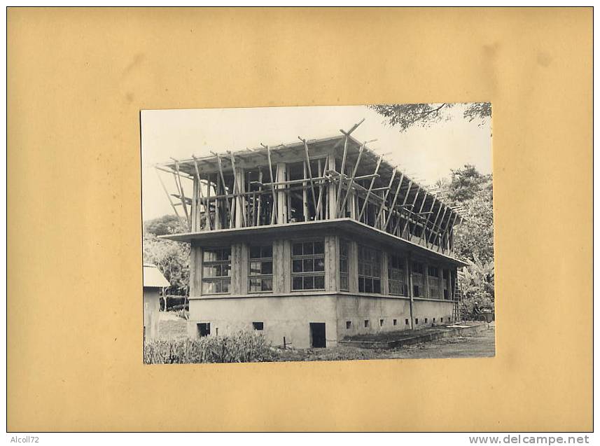 album  60 Photos : TAHITI - travaux des Ponts, Maisons, Collège, institut recherche,routes,bulldozer de 1949 à 1951 , ca