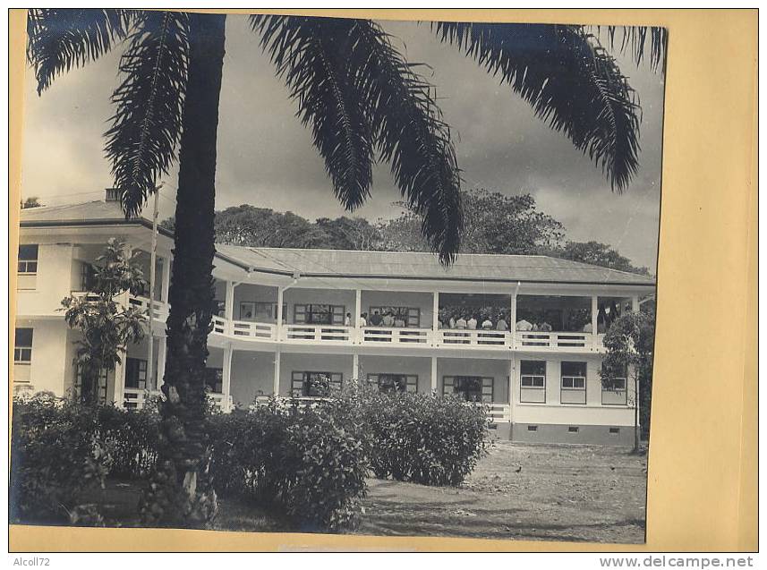 album  60 Photos : TAHITI - travaux des Ponts, Maisons, Collège, institut recherche,routes,bulldozer de 1949 à 1951 , ca