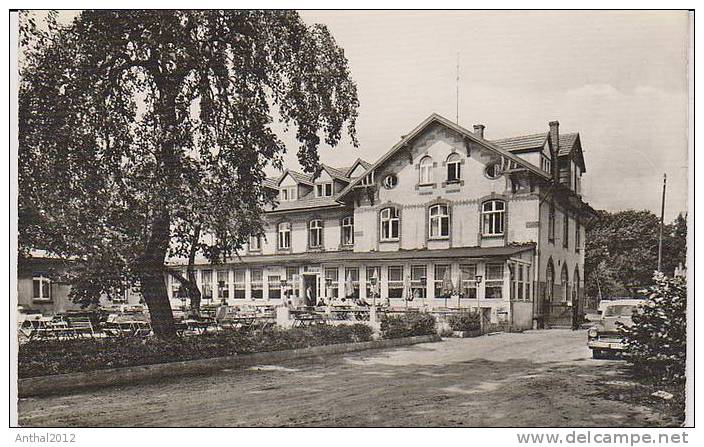 AK PKW Auto Vor Dem Waldheim 2864 Plau Mecklenburg Sw 4.5.1970 Kleinformat - Plau