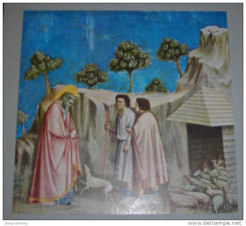 Le Storie Di Giotto - La Vita Di S. Gioacchino - 1952. - Collections