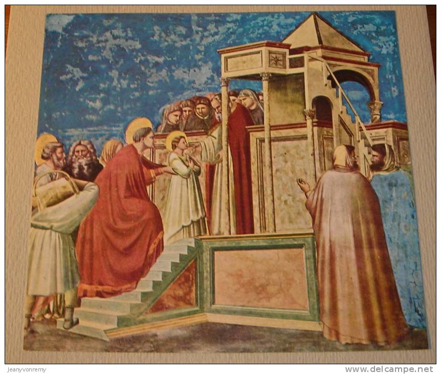 Le Storie Di Giotto - La Vita Della Vergine - 1952. - Sammlungen