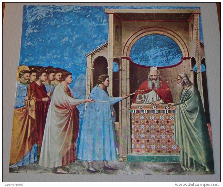 Le Storie Di Giotto - La Vita Della Vergine - 1952. - Collections