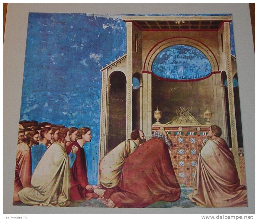 Le Storie Di Giotto - La Vita Della Vergine - 1952. - Collections