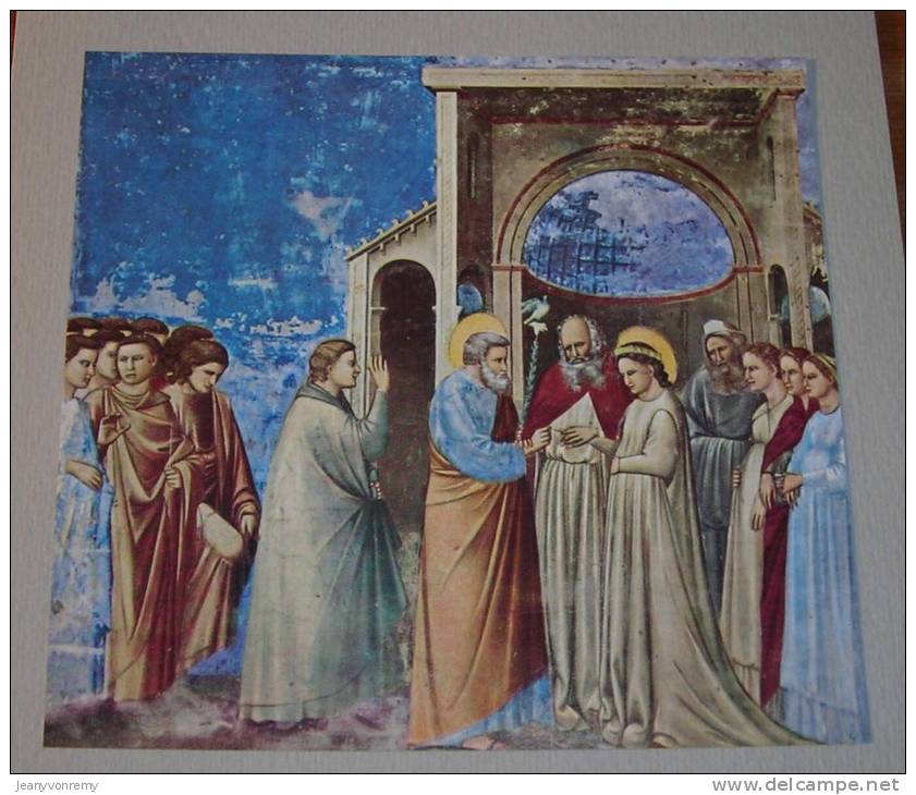 Le storie di Giotto - La vita della Vergine - 1952.