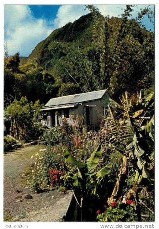 Afrique - La Réunion - Les Hauts De L'Ile - Riunione