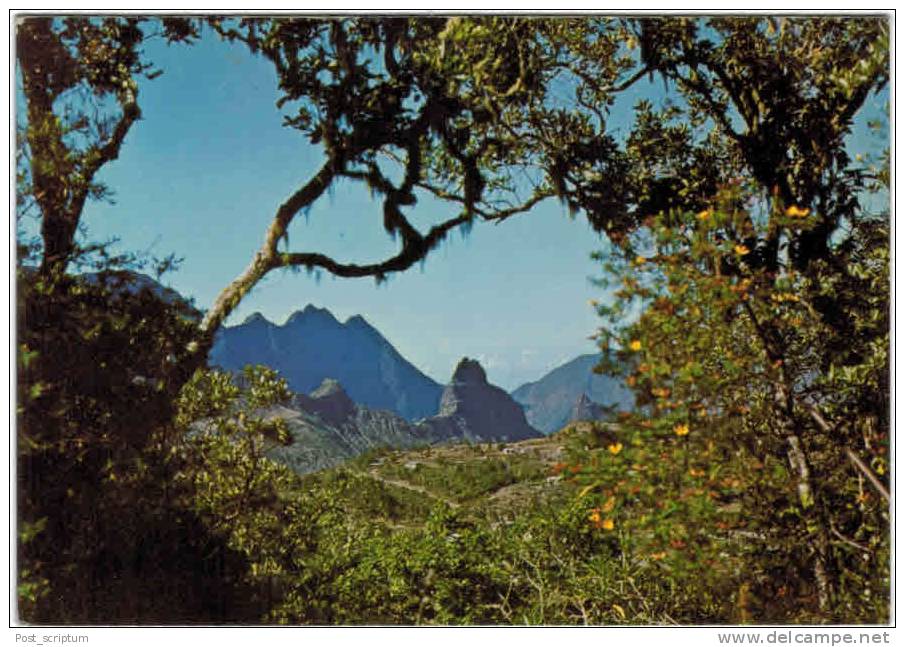 Afrique - La Réunion - Les Environs De Cilaos - Reunion