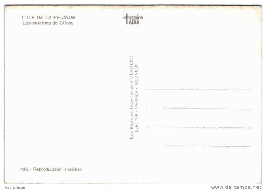 Afrique - La Réunion - Les Environs De Cilaos - Riunione