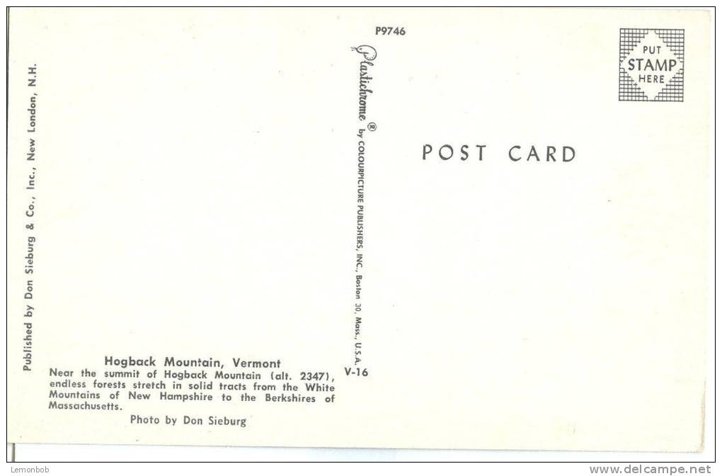 USA, Hogback Mountain, Vermont, Unused Postcard [10299] - Other & Unclassified