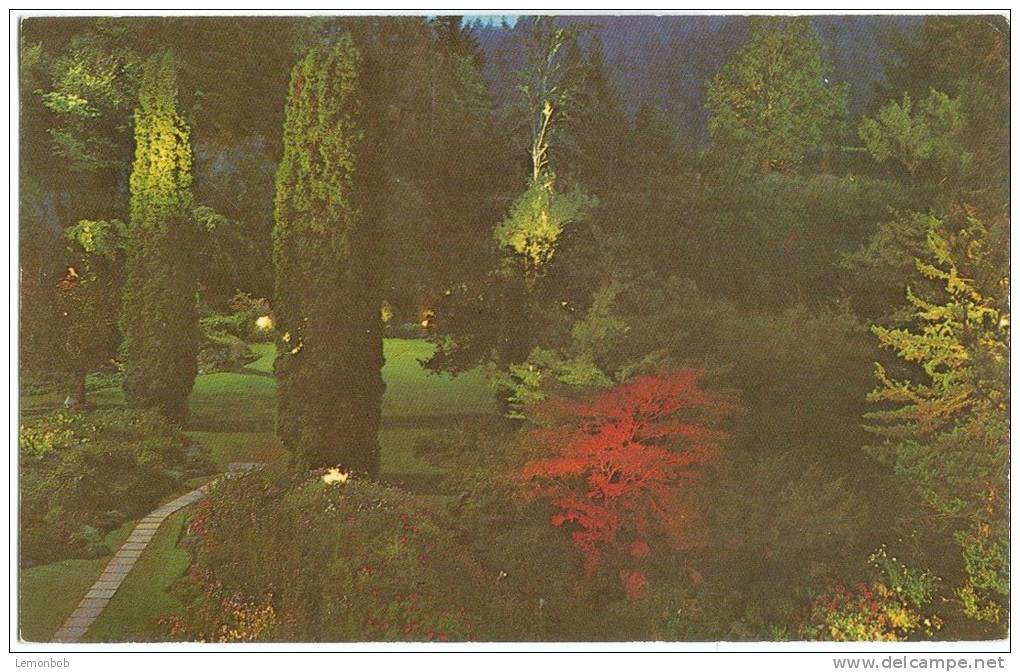 Canada, Sunken Gardens, Illuminated, The Butchart Gardens, Victoria, BC, Unused Postcard [10300] - Victoria