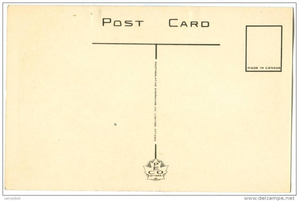 Canada, Sunken Gardens, McMaster University, Hamilton, 1920s Unused Postcard [10313] - Hamilton