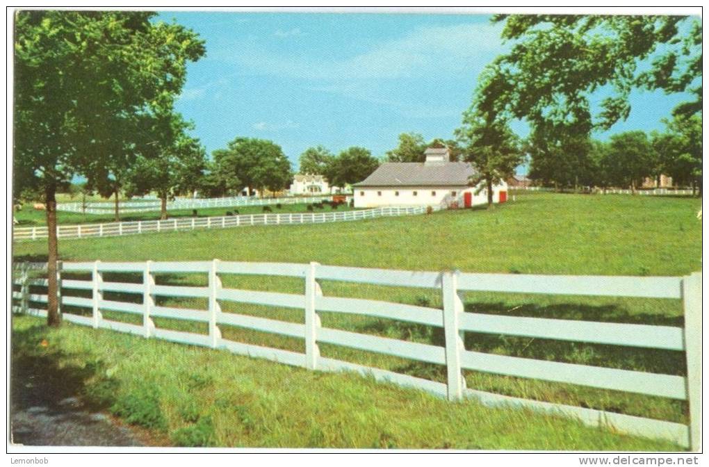 USA, Picturesque Horse Farm In The Heart Of The Bluegrass Region, Lexington, Kentucky, Unused Postcard [10315] - Lexington