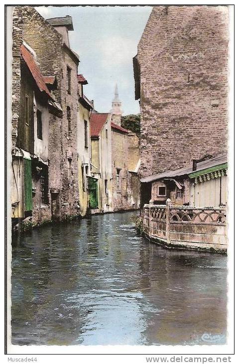 HESDIN - VUE SUR LA CANCHE - Hesdin