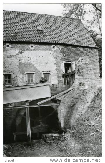 VELTEM-BEISEM Bij Herent (Vlaams-Brabant) - Molen / Moulin - De Hendersemmolen Tijdens De Restauratie. Mooie Fotokaart! - Herent