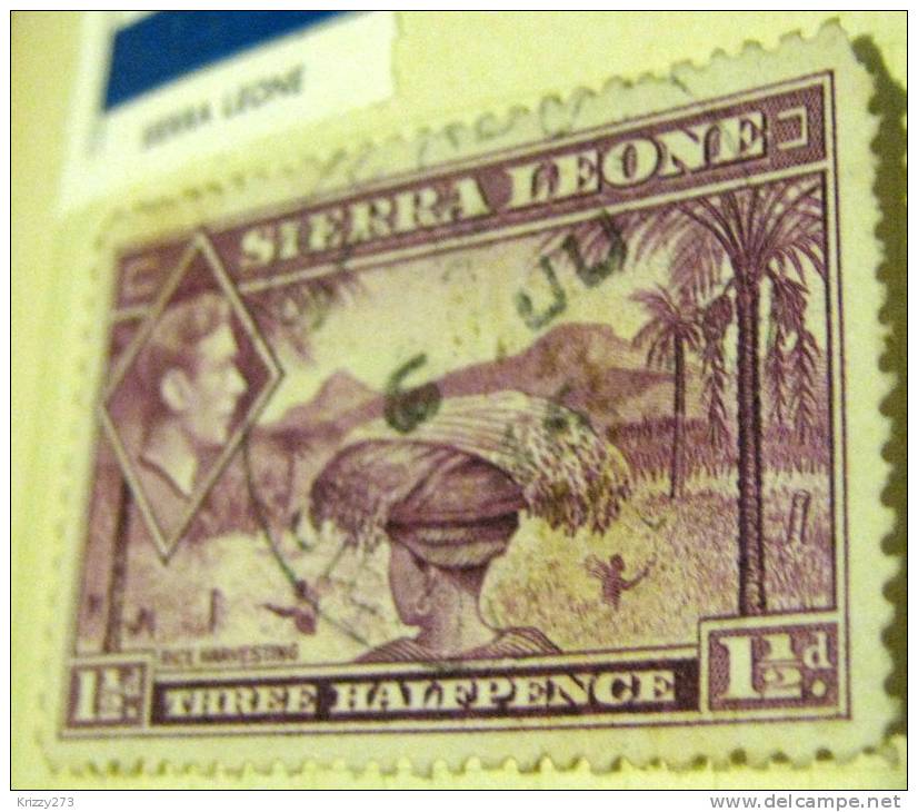 Sierra Leone 1938 Harvesting King George VI 1.5d - Used - Sierra Leone (...-1960)