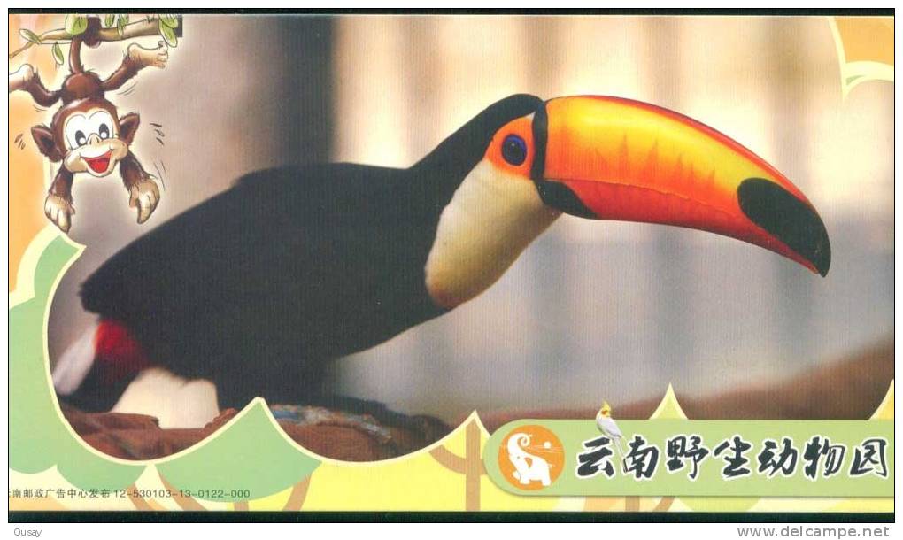 Parrot Bird    ,  Specimen Prepaid Card Postal Stationery - Parrots