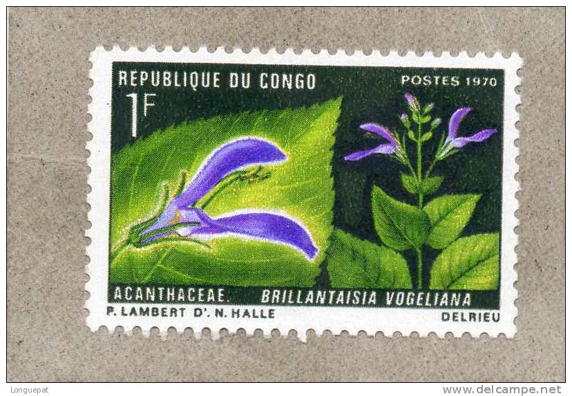 CONGO : Fleur : Brillantaisia Vogeliana -    Famille Des Acanthacées - Oblitérés