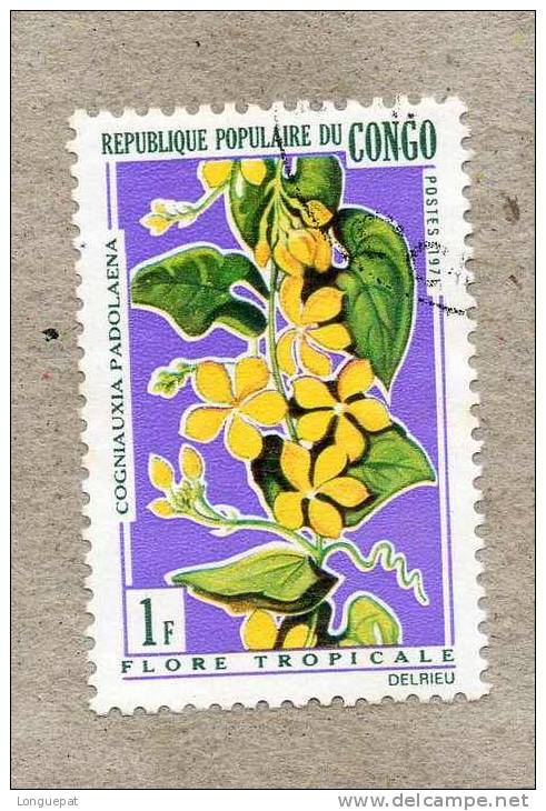 CONGO : Fleur : Cogniauxia Padolaena - Oblitérés