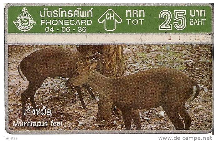 TARJETA DE TAILANDIA DE UNOS ANTILOPES      (CIERVO-DEER) - Otros & Sin Clasificación