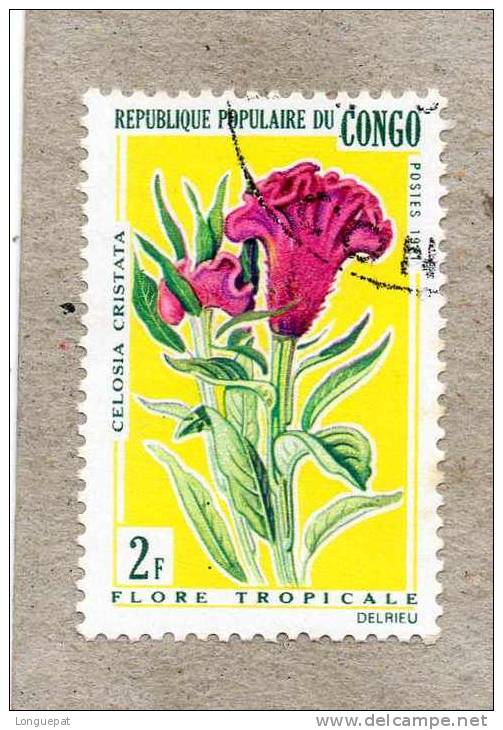 CONGO : Fleur : Celosia Cristata, Communément Appelée Amarante Crête De Coq) - Famille Des Amaranthaceae - Oblitérés