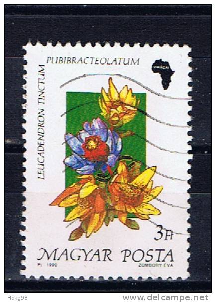 H+ Ungarn 1990 Mi 4075 Blumen - Used Stamps