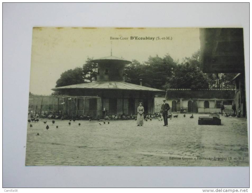 SEINE ET MARNE.BASSE -COUR D ECOUBLAY - Autres & Non Classés