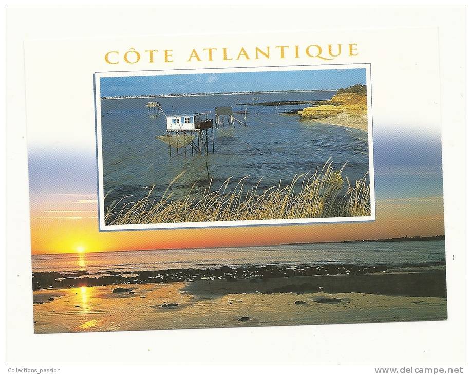 Cp, Pêche, Pêcherires Sur La Côte Atlantique, écrite 2003 - Angelsport