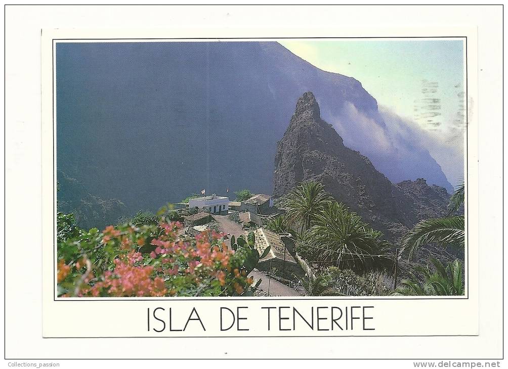 Cp, Espagne, Iles Canaries, Masca, Voyagée 1989 - Otros & Sin Clasificación