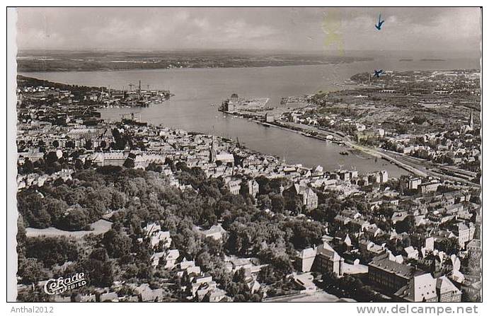 AK Flugzeugaufnahme Flensburg Hafen Wohngebiet Sw 30.8.1955 Cramer Verlag - Flensburg