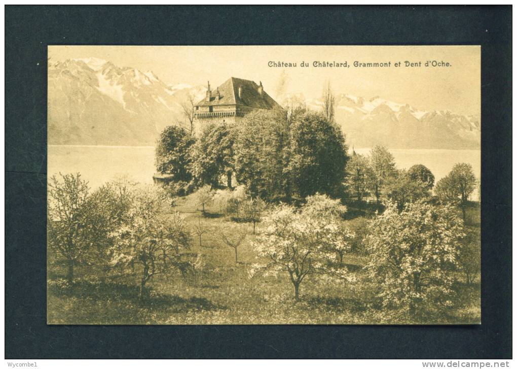 SWITZERLAND  -  Chateau De Chatelard  Unused Postcard As Scans - Autres & Non Classés