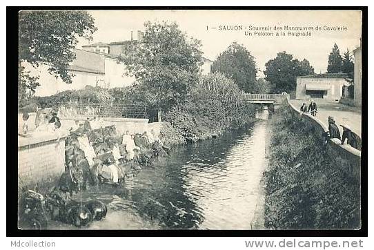 17 SAUJON /        Un Peloton De Cavalerie à La Baignade    / - Autres & Non Classés