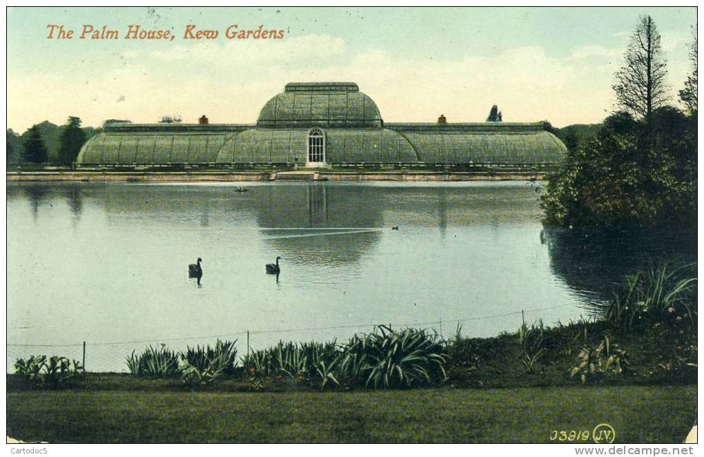 The Palm House  Kew Gaedens Cpa - Gloucester