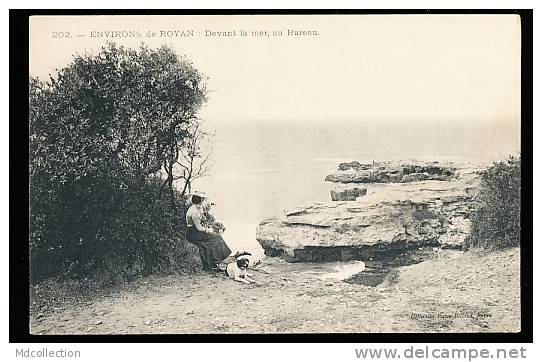 17 SAINT PALAIS SUR MER / Devant La Mer / - Saint-Palais-sur-Mer