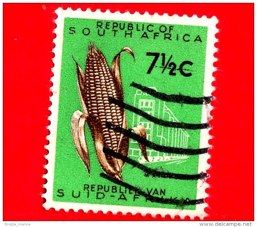 SUD AFRICA -SOUTH AFRICA - Usato - 1961 - Mais - Maize - Maïs - 7 ½ - Oblitérés